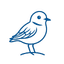 Plover